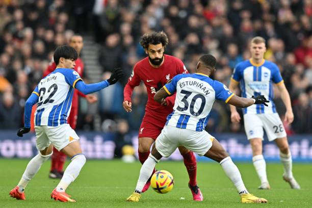 增进两岸体 增进两岸体