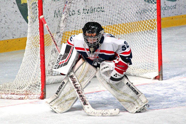 景和重要性 景和重要性